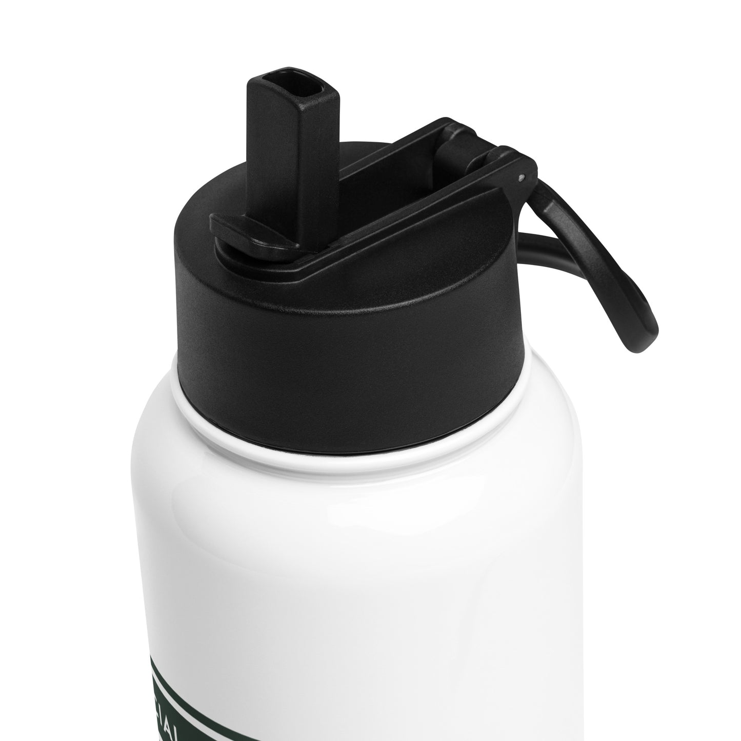 Stainless Steel Water Bottle with Straw Lid
